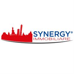 SYNERGY S.R.L.