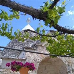 B&B IL COSMO