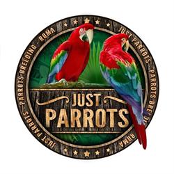 Just Parrots