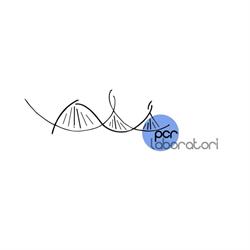 PCR LABORATORI SOCIETA' A RESPONSABILITA' LIMITATA SEMPLIFICATA