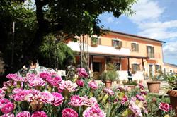 Casale Shanti