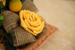 Bed & Breakfast Antico Borgo Teresiano