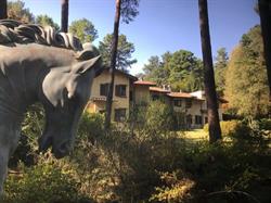 CASA NEL BOSCO - B&B