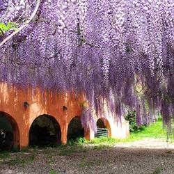 AGRITURISMO POGGIO LA FIORAIA