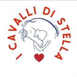 I CAVALLI DI STELLA ASD