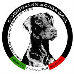 Allevamento Amatoriale Dobermann Roma "Di Casa Gaia"