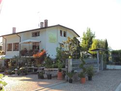OASI DEL VERDE S.A.S. DI GENNARO DE VITA