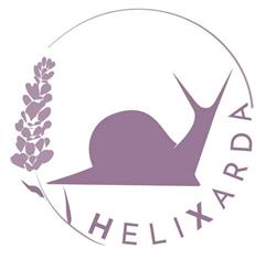 HELIXARDA DI D.S.