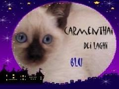 thai dei laghi blu