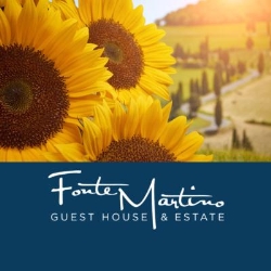 Fonte Martino Guest House & Estate