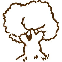 B&B Il Grande Albero