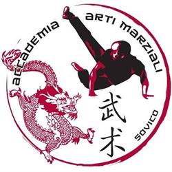 A.S.D. Accademia Arti Marziali Sovico