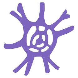 Associazione di Psicologia "Solis" aps