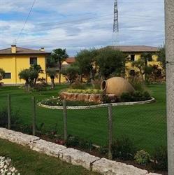 IL GIARDINO DEL SOLE DI ARTUSI GIANNI