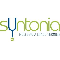 Syntonia nlt