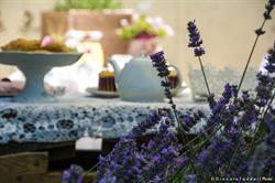 La Lavanda del Borgo