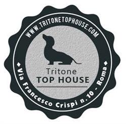 Tritone Top House