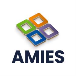 A.M.I.E.S. S.R.L.
