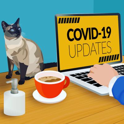 Web-Genius-COVID-Free