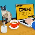 Sicurezza COVID-19