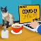Web-Genius-COVID-Free