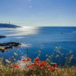 Meraviglie del Salento B&B