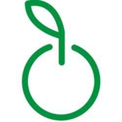 ICON SYSTEM GROUP