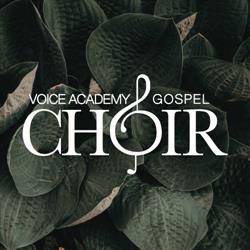 Voice Academy