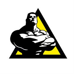 Workout in progress - Palestra