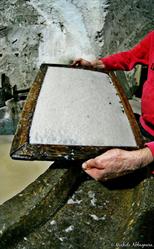 Museo Della Carta