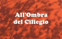 B&B All'Ombra del Ciliegio