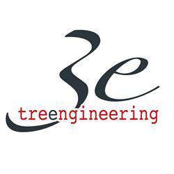 Tree engineering - studio ingegneria Catanzaro