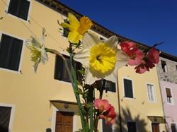 La Casa Dei Papaveri