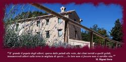 Agriturismo L'ALBORETO SALVATICO