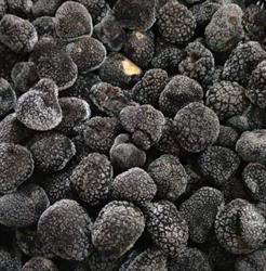 Voglia di Tartufo