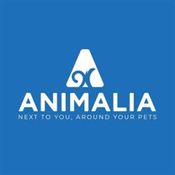 Clinica Veterinaria Animalia