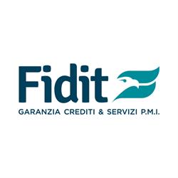 Fidit