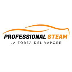 Professional Steam