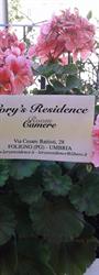 Lory's Residence