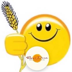 Ci Piace Senza Glutine-Break Orange Caffe'