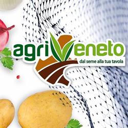 Agriveneto Spa