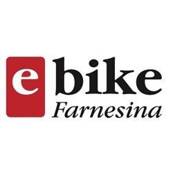 Bici elettriche Farnesina e-bike