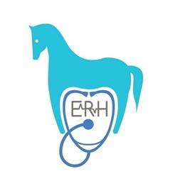 Equivet Roma Hospital