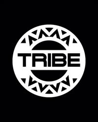 TRIBE PUB - SOCIETA' A RESPONSABILITA' LIMITATA SEMPLIFICATA
