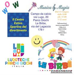 LE BIRBE - SOCIETA' IN ACCOMANDITA SEMPLICE DI SILVIA CARBONE E S OCI