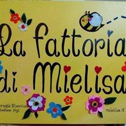 Fattoria Didattica Mielisa
