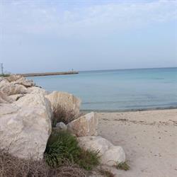 Elios Vacanze