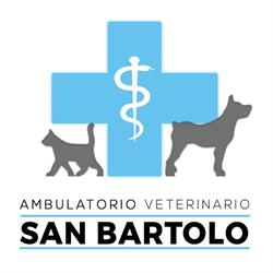 Ambulatorio Veterinario San Bartolo