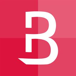 BitVark - web agency