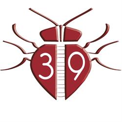 STUDIO GRAFICO 39